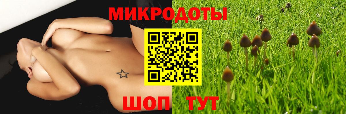 Губаха  Галлюциногенные грибы мухоморы  Вход с VPN 